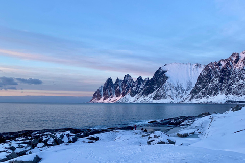 From Tromsø: Discover Senja Island with Local Guide From Tromsø: Privately Discover Senja with Local Guide