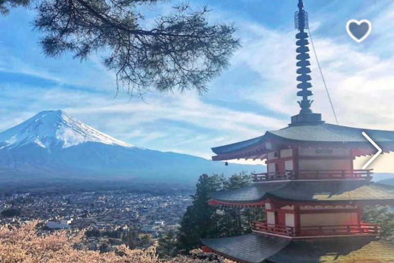 Från Tokyo: Privat resa till Fuji-berget och Kawaguchi-sjön