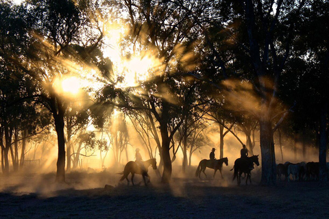 Pokhara: Horseback Adventure