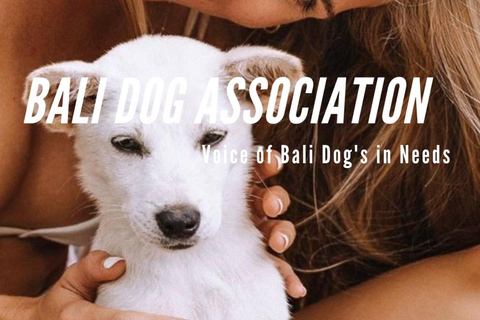 Le paradis des chiots du monde entier — Un bonheur balinais qui a du sensDécouvrez le paradis mondial des chiots à Thalassa Seseh