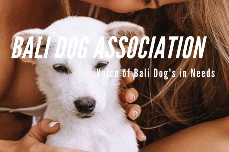 Le paradis des chiots du monde entier — Un bonheur balinais qui a du sensDécouvrez le paradis mondial des chiots à Thalassa Seseh