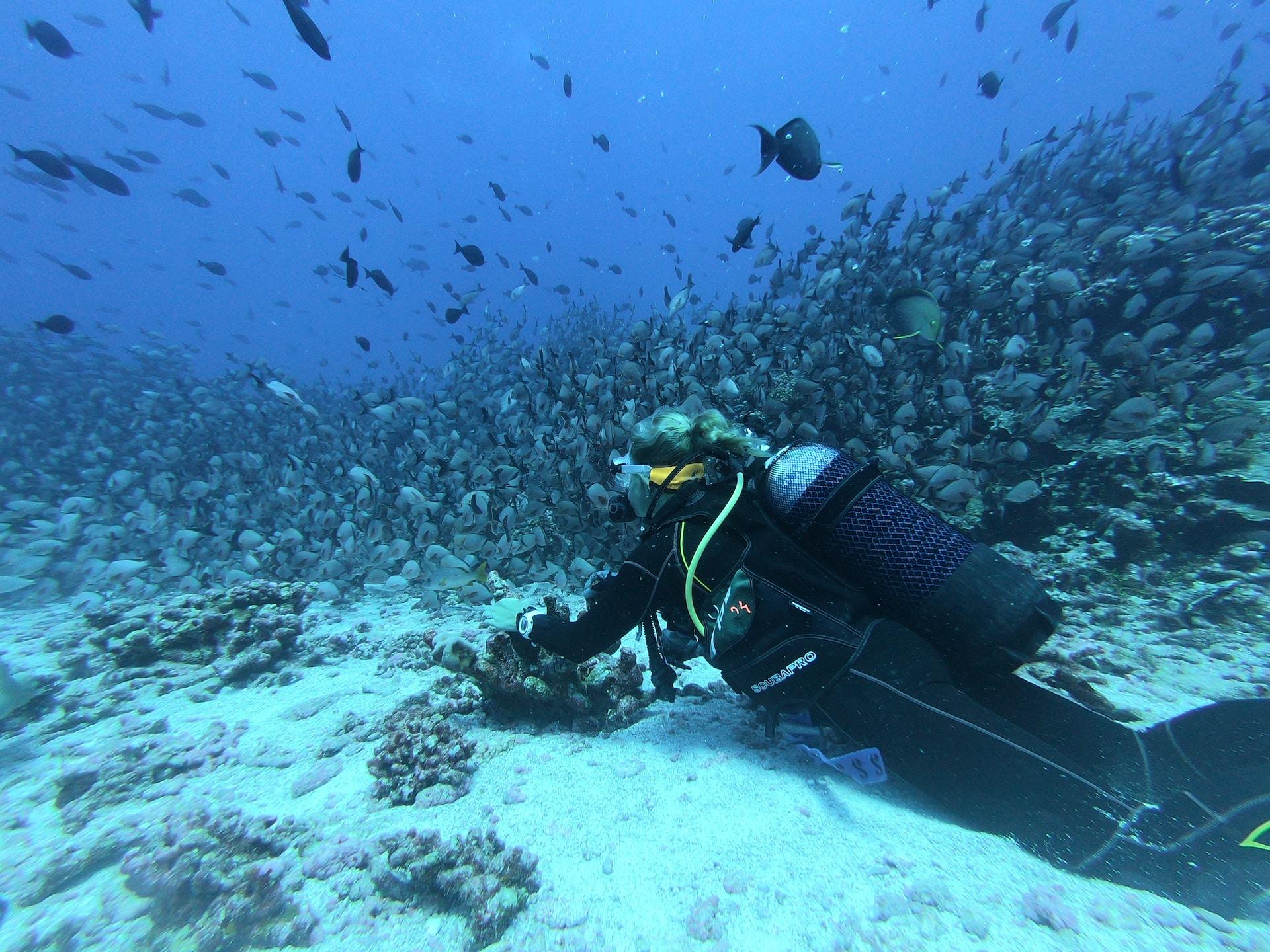 Scuba Diving in Trincomalee