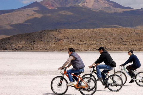 Depuis Uyuni : Visite à vélo des plaines salées d'Uyuni 1 journée + déjeunerDepuis Uyuni : Visite à vélo des salines d'Uyuni 1 journée + déjeuner