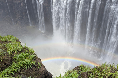 Victoria Falls Guided Tour + Devils or Angel's pool Swimming