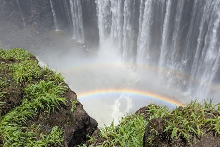 Victoria Falls Guided Tour + Devils or Angel's pool Swimming