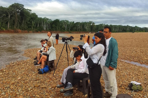 Puerto Maldonado: Excursão à argila das araras chuncho em TambopataPuerto Maldonado: Excursão à Tambopata para ver araras-chuncho e o barro