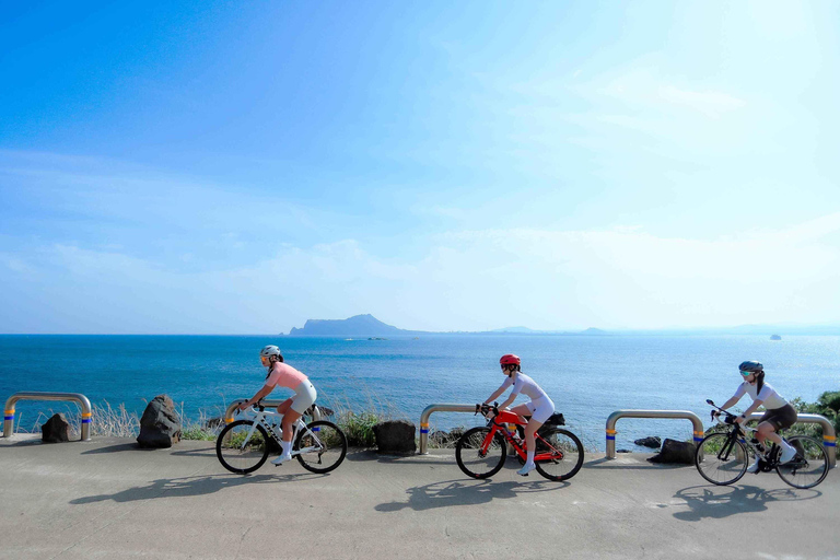 Jeju: Udo Island, Seongsan & Tangerine Picking Tour
