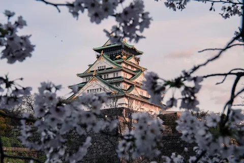 Osaka/Nara/Kyoto: Private Tour with English-Speaking Guide