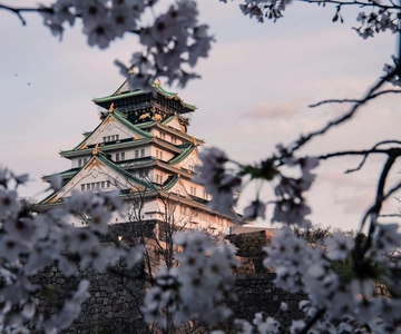 Osaka/Nara/Kyoto: tour privato con guida in inglese