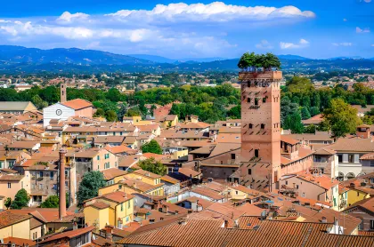 Ab Florenz: Halbtägige Tour nach Lucca