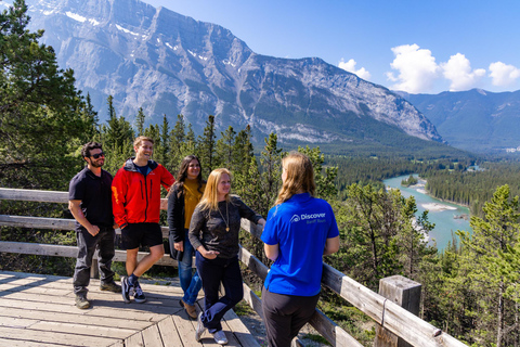 Banff: Wildlife and Sightseeing Minibus TourSummer Tour