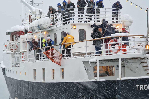 Tromsø: Classic arctic fjord cruise with lite lunch