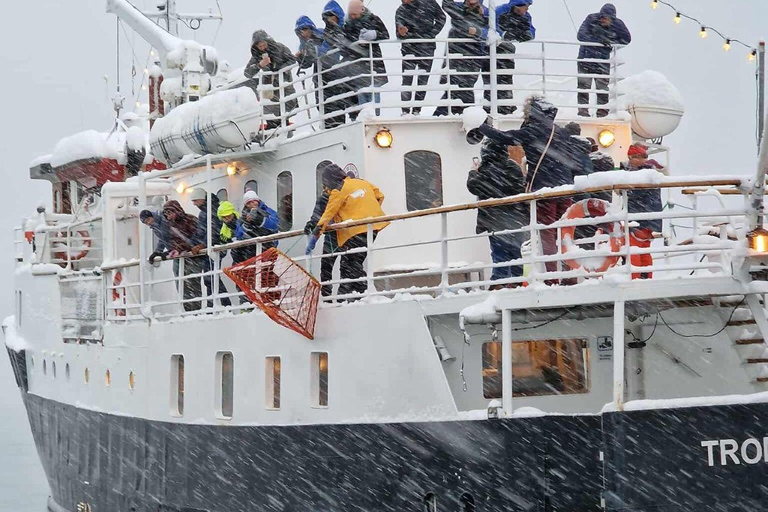 Tromsø: Classic arctic fjord cruise with lite lunch