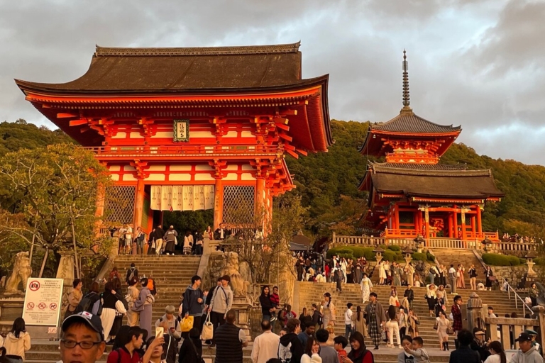 Kyoto: Highlight Tour with English-Speaking Driver