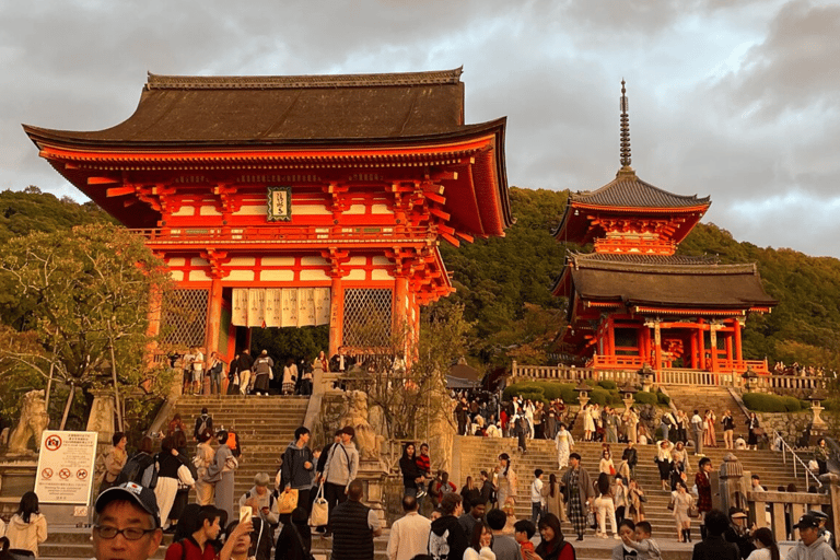 3 Dagen Privé Osaka Kyoto en Nara Tour met Engelse chauffeur