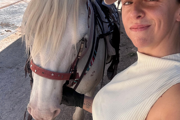 Provence: 2-hour Western horseback riding tour, refreshing break in the river Provence: 2-Hour Western Horseback Riding Tour, Refreshing Break in the River