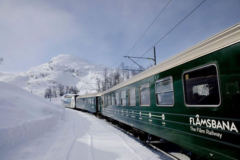 From Oslo: Scenic Road Trip to Bergen via Flam and Fjords