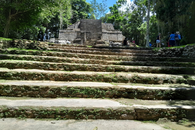 Ciudad de Belice: Ruinas mayas de Lamanai y River Boat Safari con almuerzoTour con recogida desde los hoteles de la ciudad de Belice