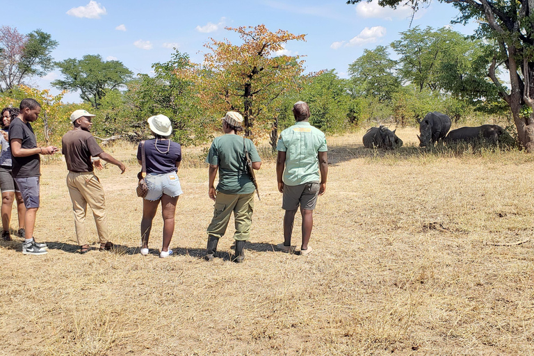 Livingstone: Mosi-oa-Tunya National Park White Rhino Tour
