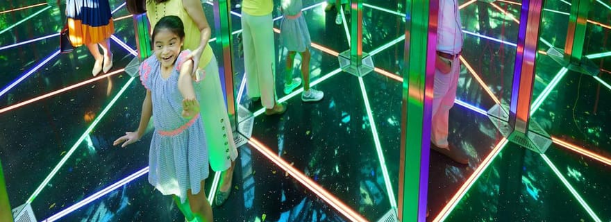 Aéroport Jewel Changi : Billet pour le labyrinthe de miroirs et le parc de la canopée