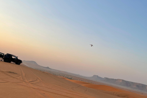 Riyadh:Red Sand Dunes camel ride&Quad&Sandboarding Adventure Private Tour with pick up and drop off from your location