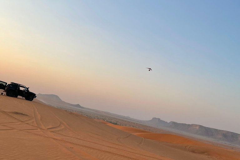 Riyadh:Red Sand Dunes camel ride&Quad&Sandboarding Adventure Private Tour with pick up and drop off from your location
