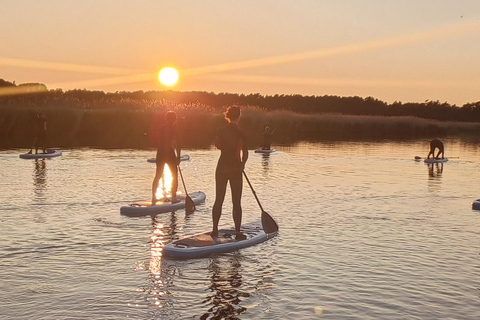 Prerow: Passeio de standup paddle ao pôr do sol com piquenique