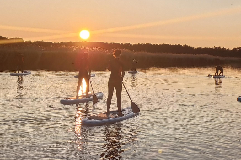 Prerow: Tour al tramonto in stand up paddle con picnic