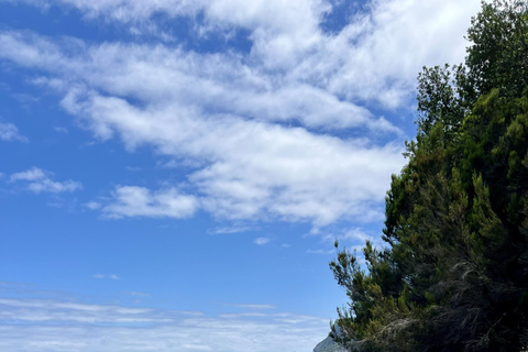 Madeira: Vereda do Larano Guided Hike with Views