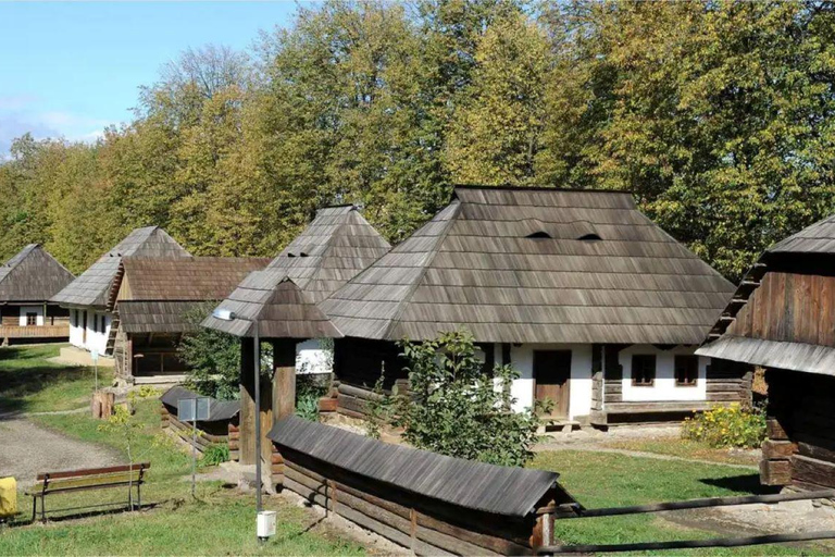 1 Day Bucharest Parliament, Ceausescu House & Village Museum