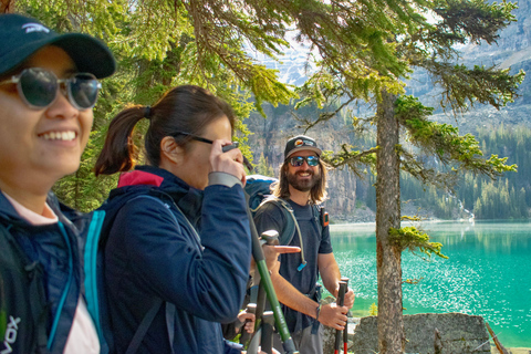 Banff/Canmore: Emerald Lake & Takakkaw Falls Shared Experience
