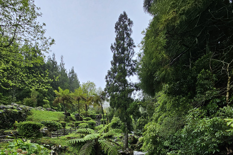 São Jorge: Island Round Trip Up to 7Hours.São Jorge Island: Round Trip 7Hours.