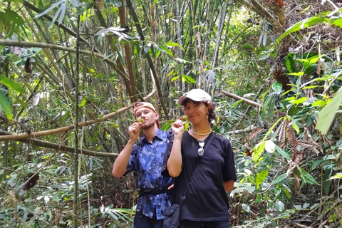 Khao Sok: Trekking privado de um dia, jantar na selva e safári noturno