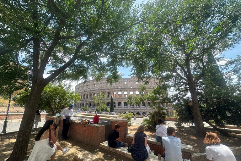 Small Group Guided Tour Colosseum Roman Forum, Palatine Hill Standard Tickets