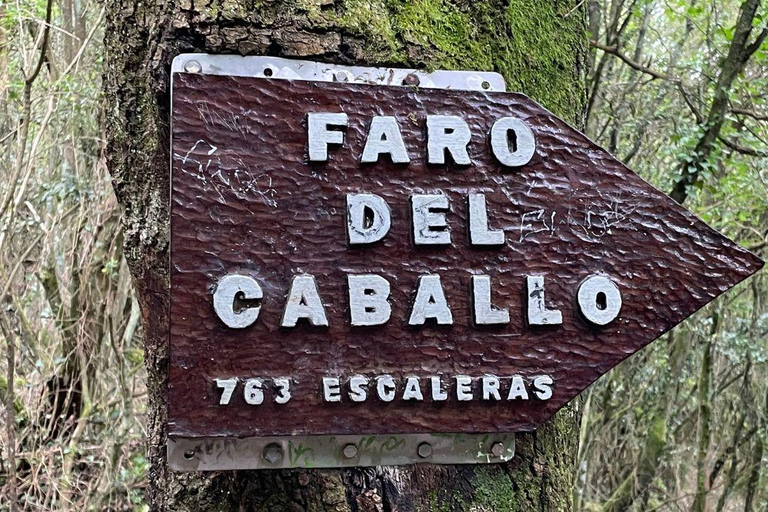 EXCURSION TO CANTABRIA: Santander | Santoña | Laredo