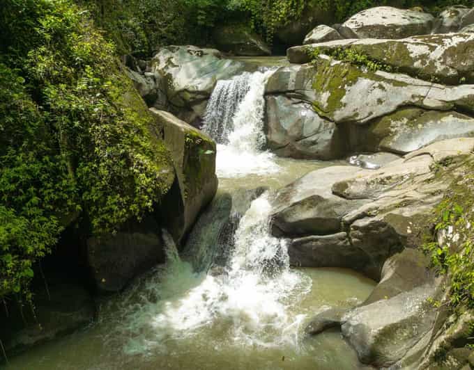 Minca: Coffee, Cocoa, and Waterfall Tour