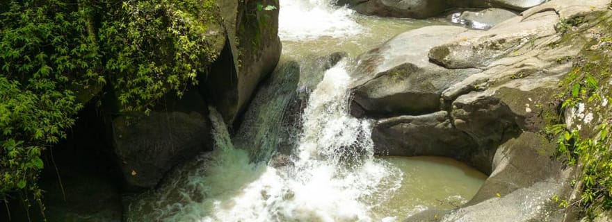 Minca: Excursão turística de café, cacau, cachoeira e vista privilegiada