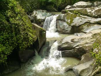 Minca coffee, cocoa, waterfall and viewpoint