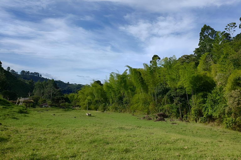 MEDELLIN: DAWN GARDEN TOUR WITH VISIT TO BETANIA - 2 DAYS AND 1 NIGHT