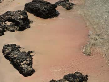 Z Rethymno: Plaża Elafonisi — prywatna wycieczka SUV-em