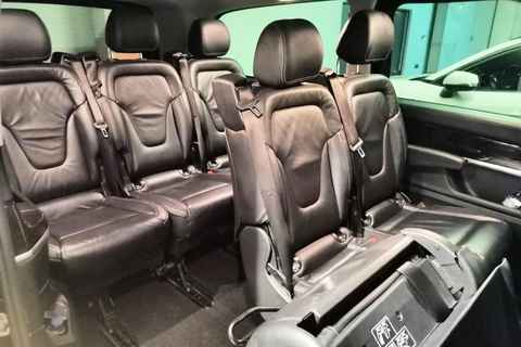 Private day tour to Évora: cork, factory, winery & the city