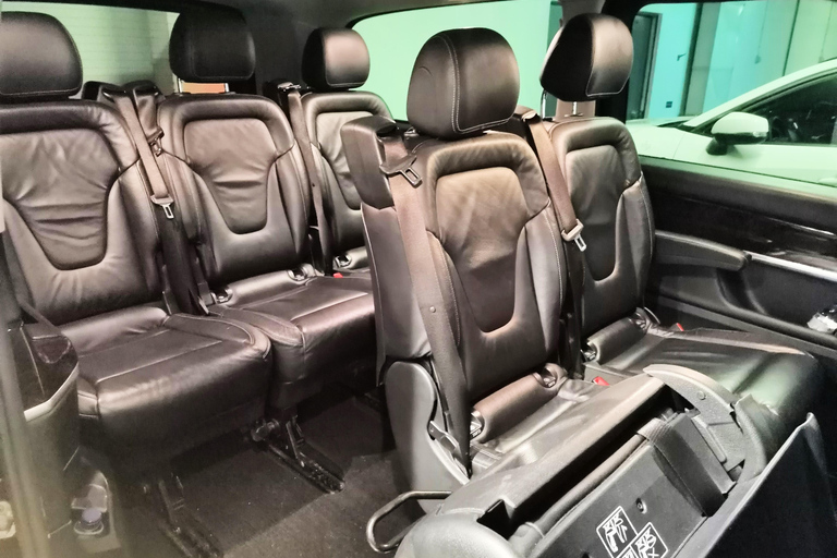 Private day tour to Évora: cork, factory, winery & the city