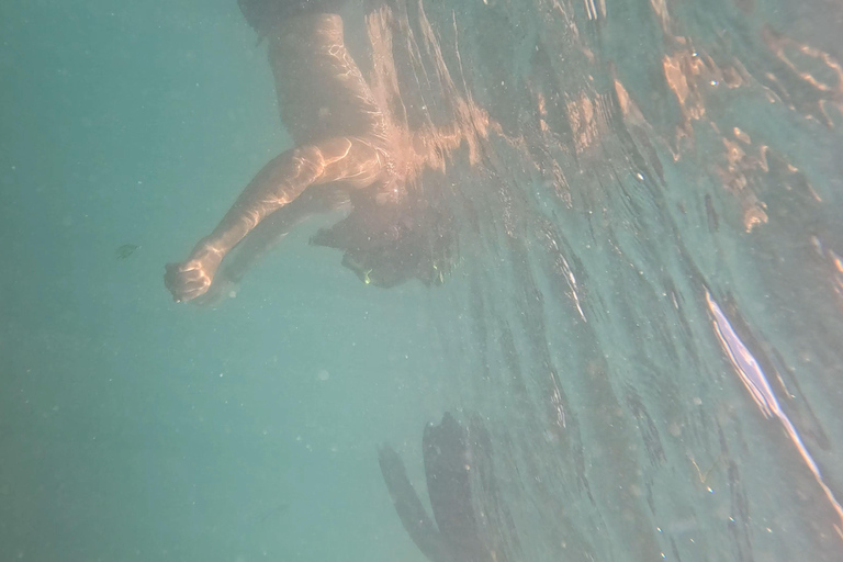 DAR ES SALAAM: MBUDYA EILAND SNORKELTOUR &amp; STRANDVIBES