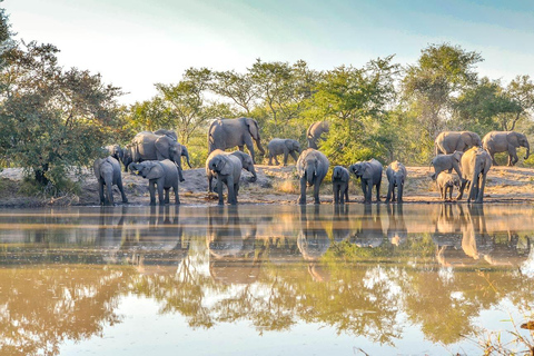 Safari di 15 giorni con il meglio del Kenya e della Tanzania e la spiaggia di Zanzibar