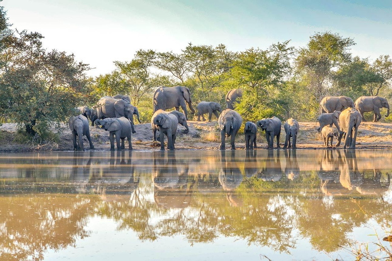 15 dagars safari med det bästa av Kenya och Tanzania med Zanzibar Beach