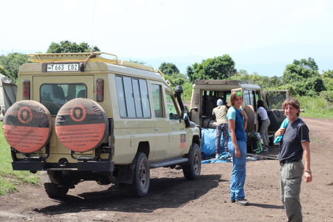 1-Day Trip to Ngorongoro Crater