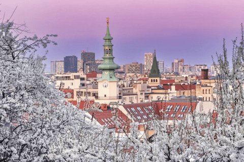 首都热潮：探索布拉迪斯拉发和布达佩斯首都之旅：探索布拉迪斯拉发和布达佩斯