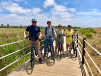 Albufeira, 4 of 8-uur e-bike verhuur met hotellevering - Housity