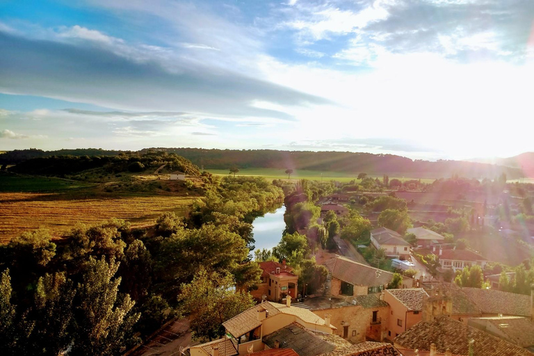 From Madrid: Cooking Class by a Castle in the Olive Groves