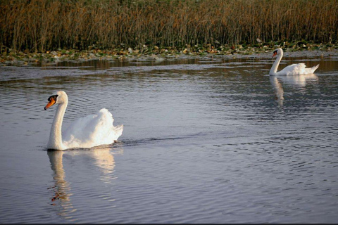 Skadar lake cruise with lunch